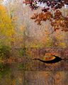 The Reflective Eye