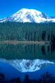 Rainier In Portrait