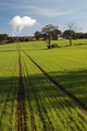 Farm tracks