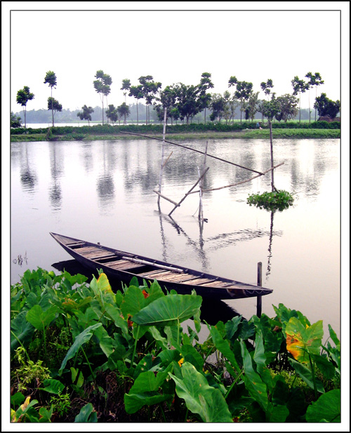 Landscape in Portrait