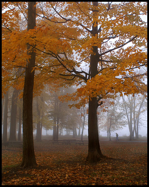 An Early Autumn Walk