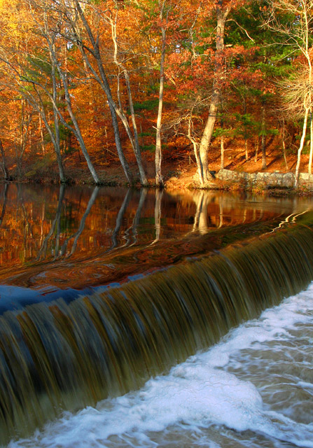 Last Days of Fall