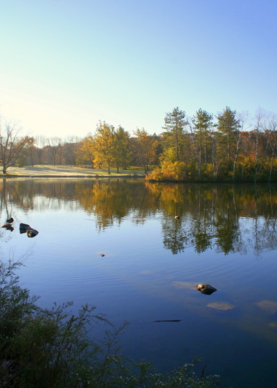 Autumn Morning