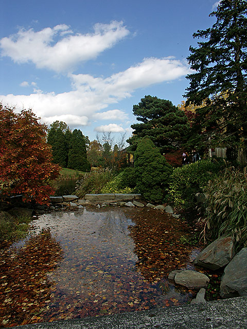 Fall at Brookside Gardens