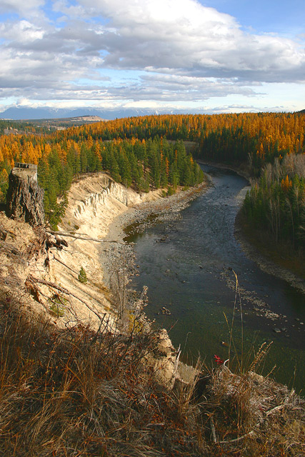  Through the Tamaracks