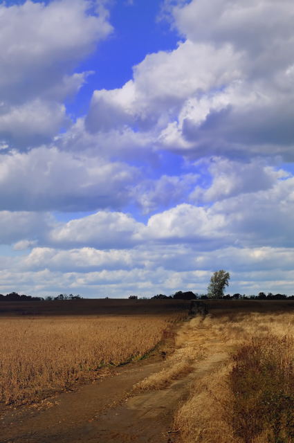 Clearing Skies