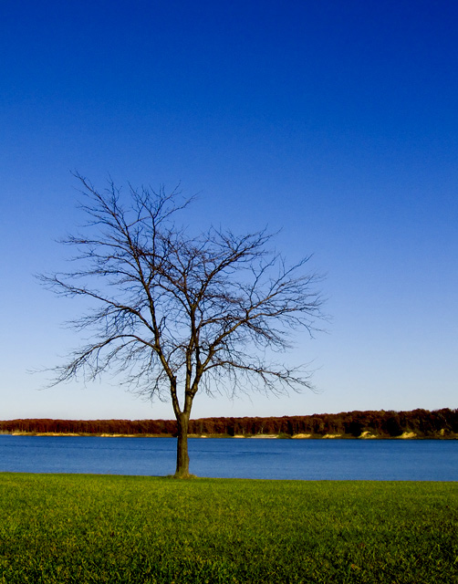 Autumn Across The Lake