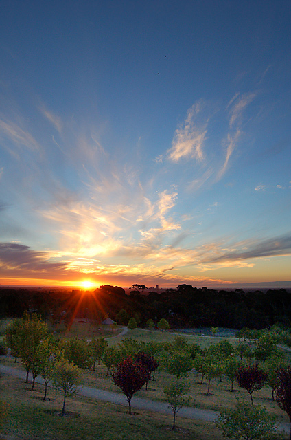 Penfolds Park