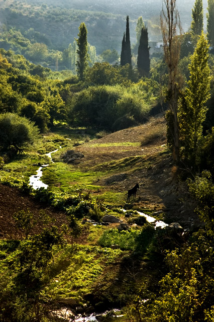 Warm afternoon in the valley