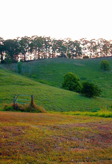 Greener Grass Gate