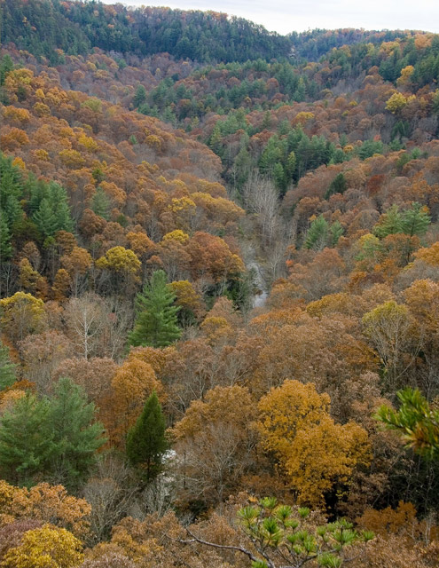 Red River Gorge