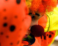 Challenging Life of a Clown