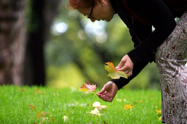 Turning Over a New Leaf