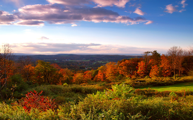 Autumn falls into winter