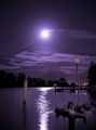 Goodnight moon