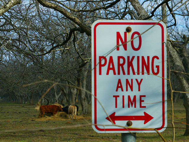 No Parking Any Time except for COWS