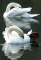 Moment of Serendipity
