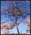 Upside down