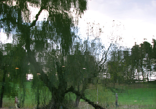 in the lake