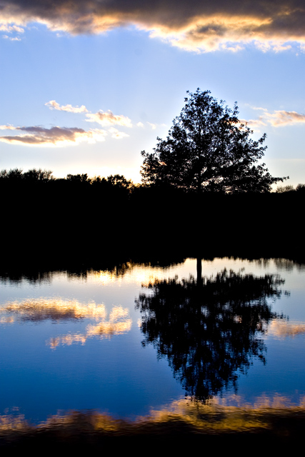 Monet in the reflection.