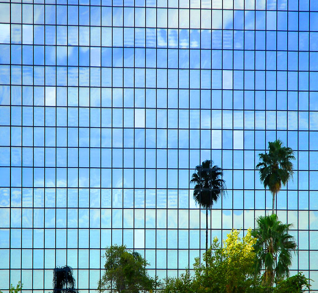 Tampa Sky reflection