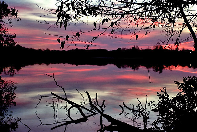Early Morning Reflections