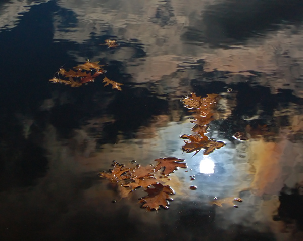 Reflections on Fall