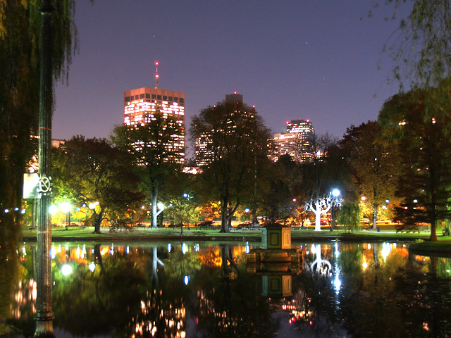 City Reflections