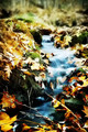 Dreamfalls