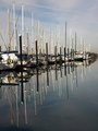 Squalicum Marina Reflections