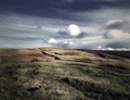 The Moor