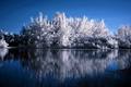 On a calm winter day...