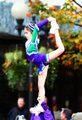 Macy's Parade Allstar