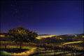 What a little moonlight can do...  (Tuscany vineyards)