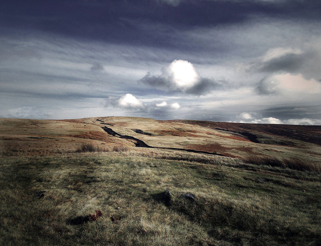 The Moor