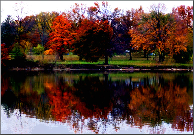 Fall Reflections