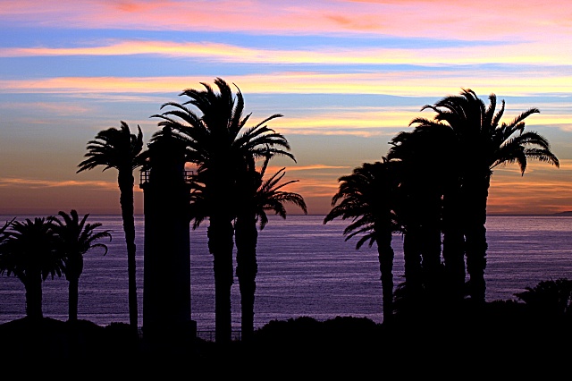 Point Vicente Dawn