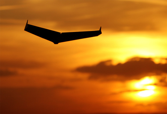 The glider.