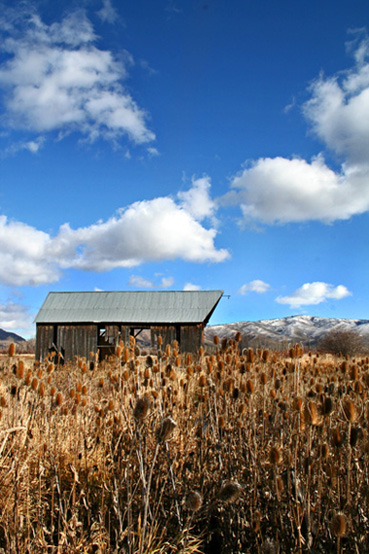 Grandpa's Barn