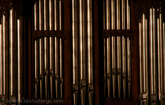 Organ Pipes