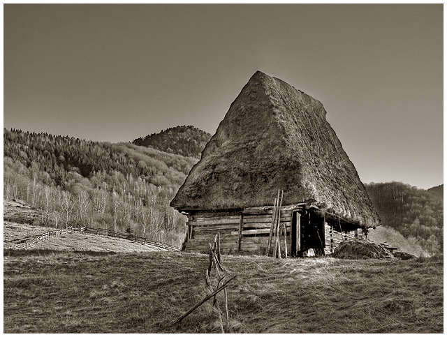 The Lonely Shelter