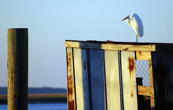 Alone at sunset