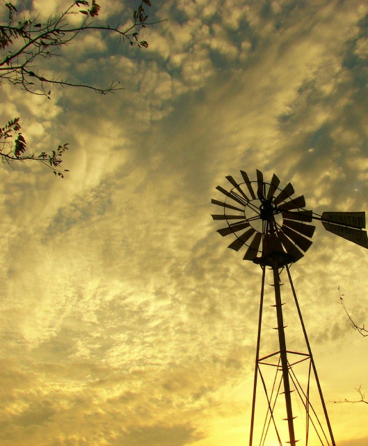 Windmill