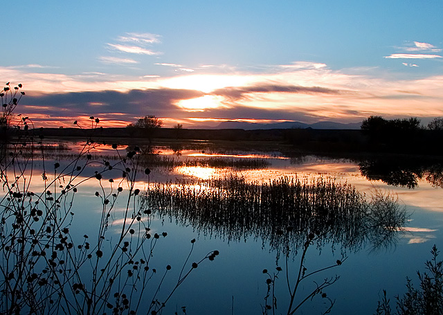 Sunset Over the Bosque