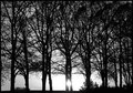 Sunset in b&w