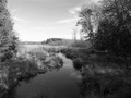 Veterans Hiking Trail Bridge Over the Bog