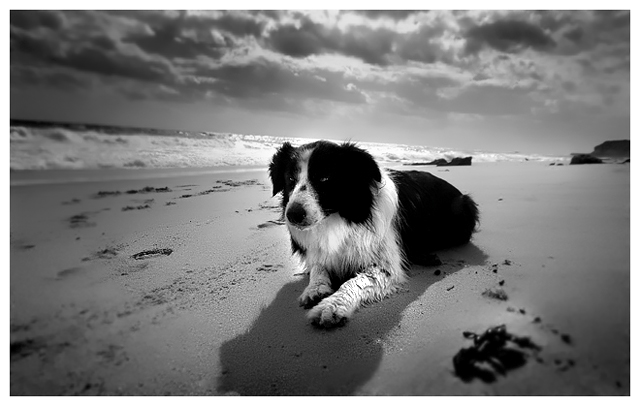 Maggie