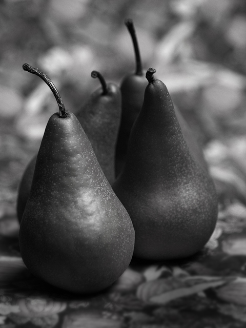 Bosc Pears