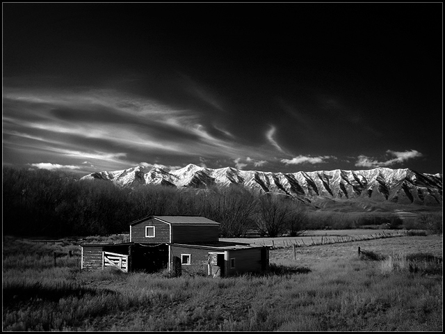 Barn To Be Wild