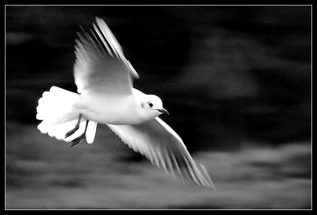 in flight